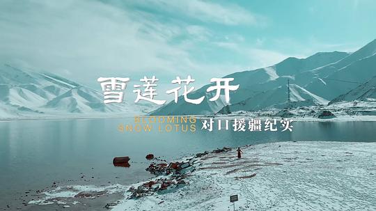雪莲花开——对口援疆纪实(全集)